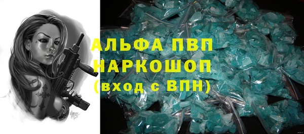спайс Алзамай