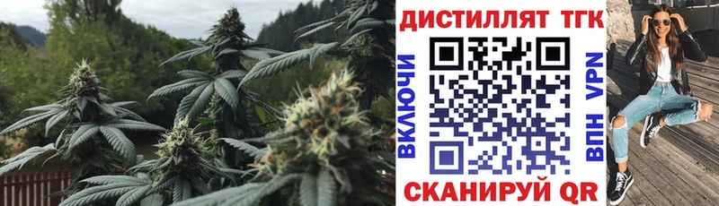 MEGA как войти  Арск  ТГК концентрат 